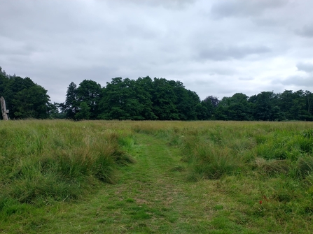 Darsham Marshes - Jamie Smith 