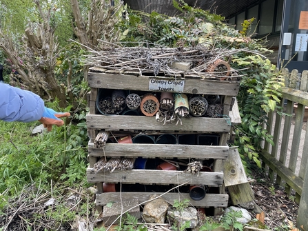 bug hotel