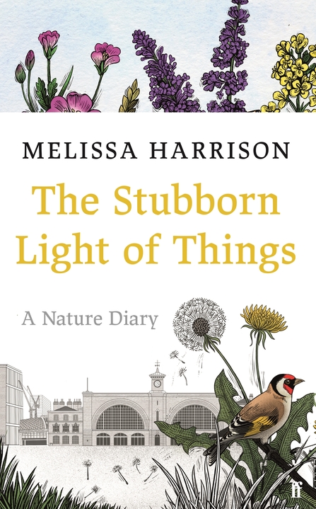 Book cover of The Stubborn Light of Things