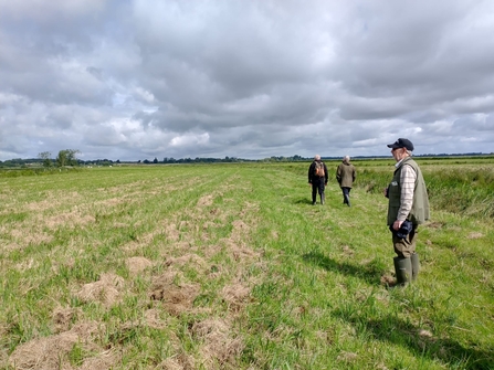 Warden Lewis Yates took some of our brilliant volunteer wildlife guides on a tour of the newer marshes on the western edge of Carlton Marshes 