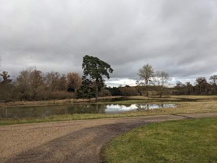 The meadow next to the River Glem, holding flood water after floodplain reconnection work.