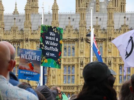 Restore Nature Now march, London 