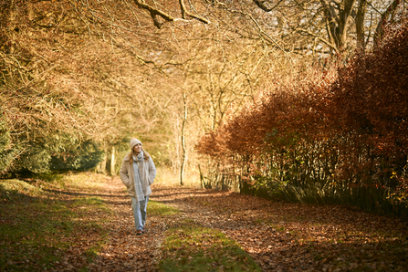 Woman walking in an autumnal woodland