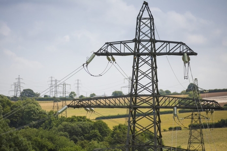 Pylons in the English countryside