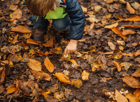 Suffolk Wildlife Trust