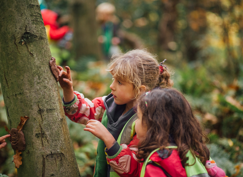 Suffolk Wildlife Trust