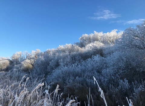 Hoar frost at Carlton Marshes - Andy Hickinbotham