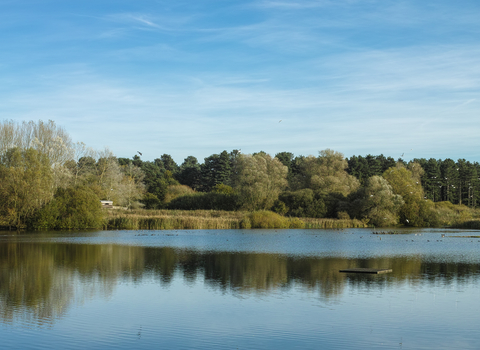 Lackford Lakes