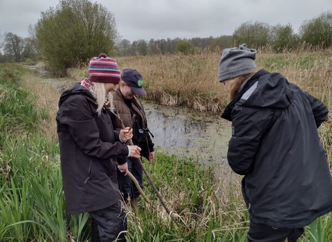 Three tean members on a riverside looking for signs of water vole activity