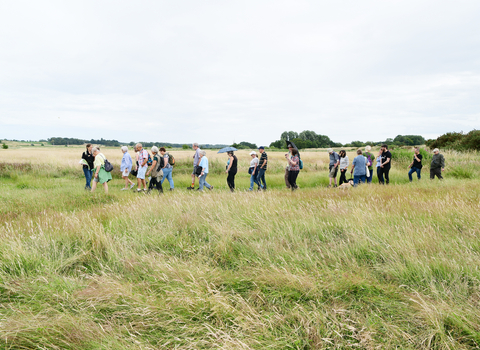 Group walk at Martlesham Wilds