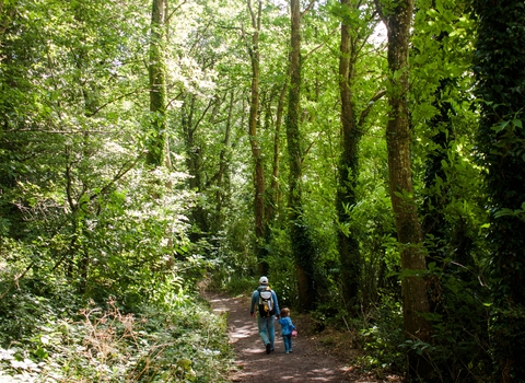 A father and child walking along a path through lush green woodland.