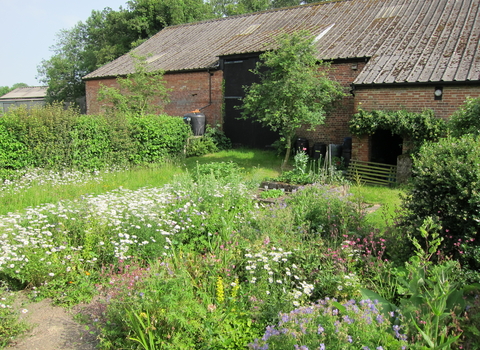 Barn garden