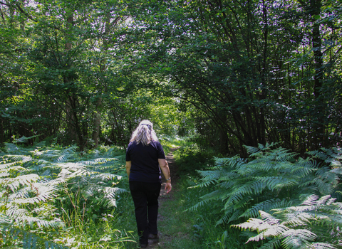 Jo walking at Bradfield Woods with ferns on either side of the paths