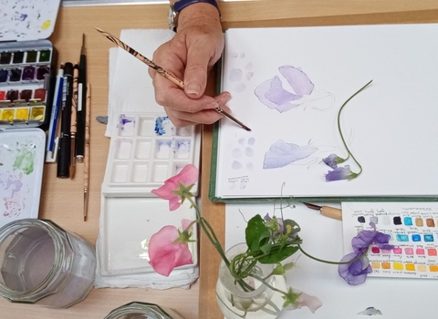 Ruth Wharrier School of Botanical Art Course