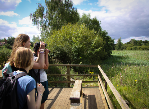 Three students standing on decking with binoculars overlooking a reed bed