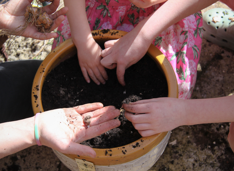 Pot planting at The Hive Ipswich