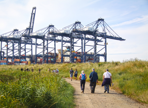 A group of people walking down a gravel track with cranes in the distance